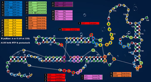 RepMap.PNG