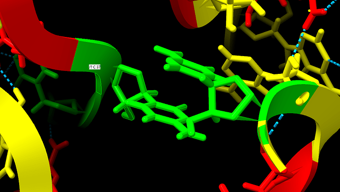 Replicase 37