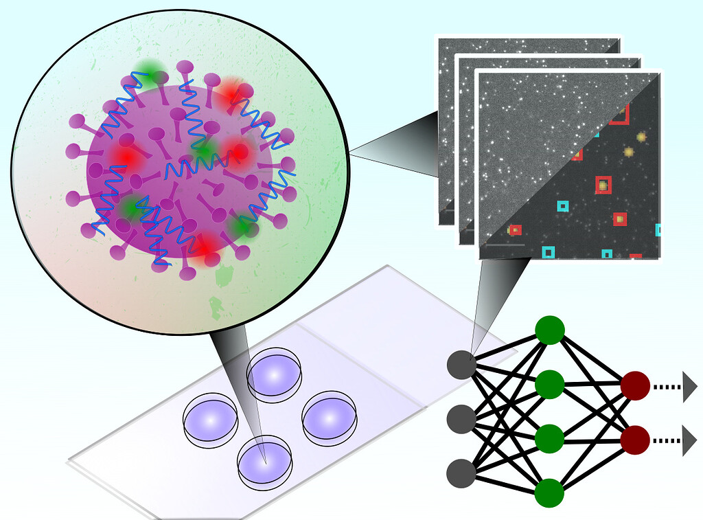 Oxford scientists develop extremely rapid diagnostic test for Covid-19 ...