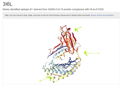 Image httpsd2r1vs3d9006apcloudfrontnets3_images1833362RackMultipart20200424-71010-1029s6o-PDB_sars_nucleoprotein_inlinepng1587713715
