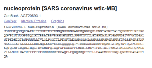 Image httpsd2r1vs3d9006apcloudfrontnets3_images1833358RackMultipart20200424-76446-e010nk-nucleoprotein_sars_inlinepng1587713526