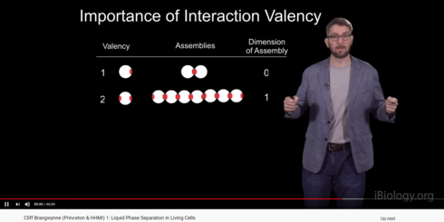 Image httpsd2r1vs3d9006apcloudfrontnets3_images1833367RackMultipart20200424-73921-1as0cx4-Valency_2_inlinepng1587714508