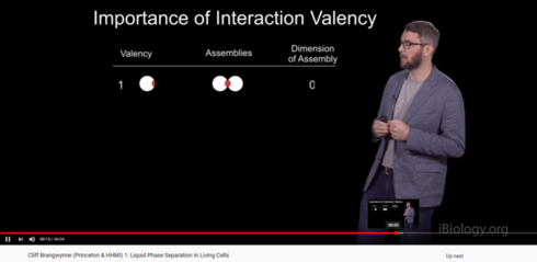 Image httpsd2r1vs3d9006apcloudfrontnets3_images1833366RackMultipart20200424-73921-nmhhvy-Valency_1_inlinepng1587714496